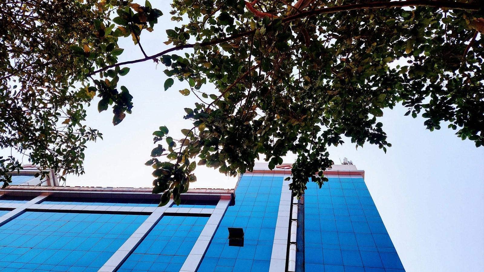 Bharti Airtel: Analyzing Q3 Financial Performance and Successes
