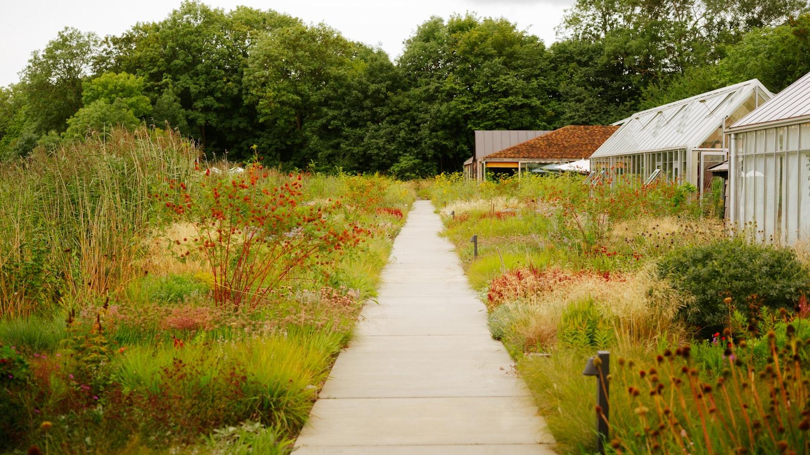 Unraveling the Finest Accommodation Options for Every Traveler