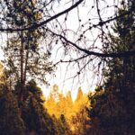 Unveiling the Enigmatic Characters of virgin river cast