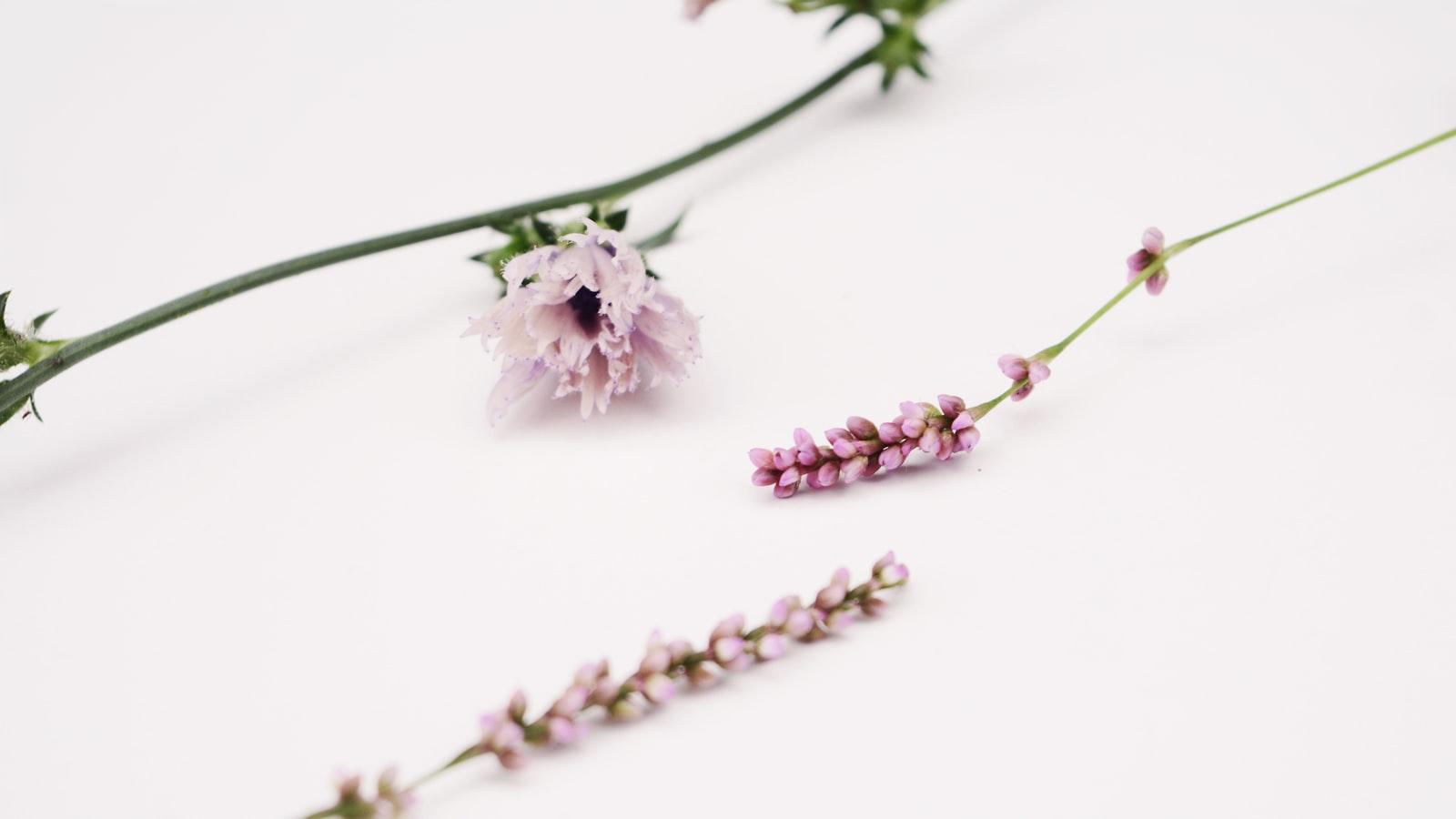 Wellhealthorganic.com:diet-for-excellent-skin-care-oil-is-an-essential-ingredient