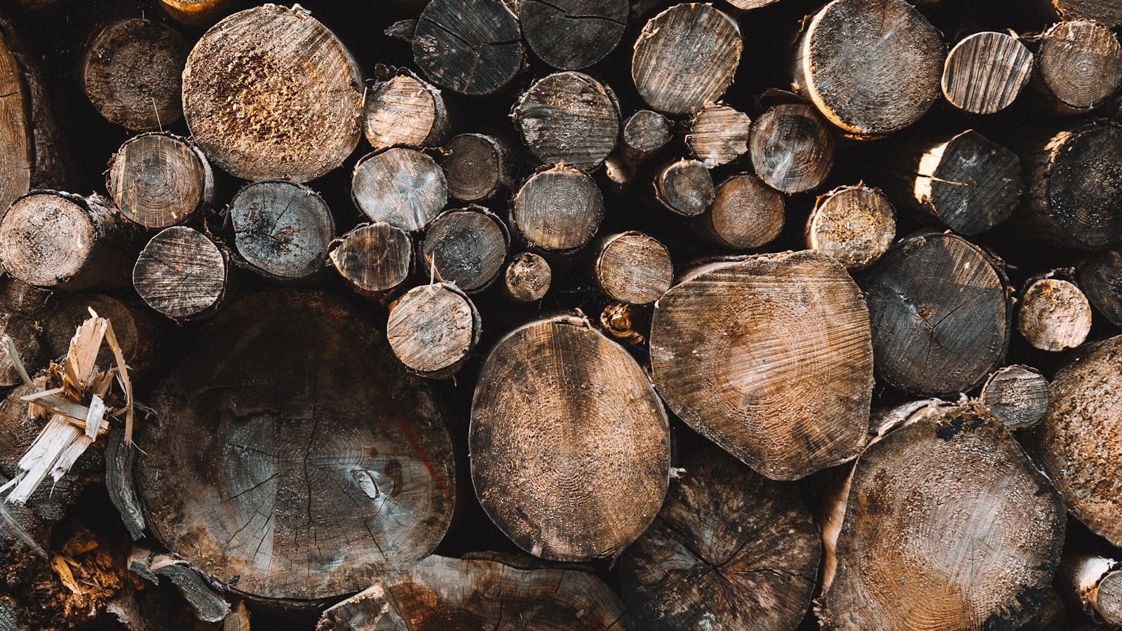How to make wood in little alchemy?