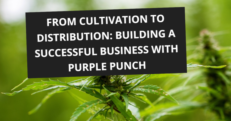 Building a Successful Business with Purple Punch