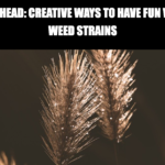 High Times Ahead: Creative Ways to Have Fun with Strong Weed Strains