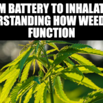 From Battery to Inhalation: Understanding How Weed Pens Function