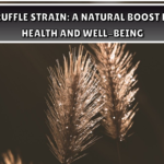 White Truffle Strain: A Natural Boost for Your Health and Well-Being