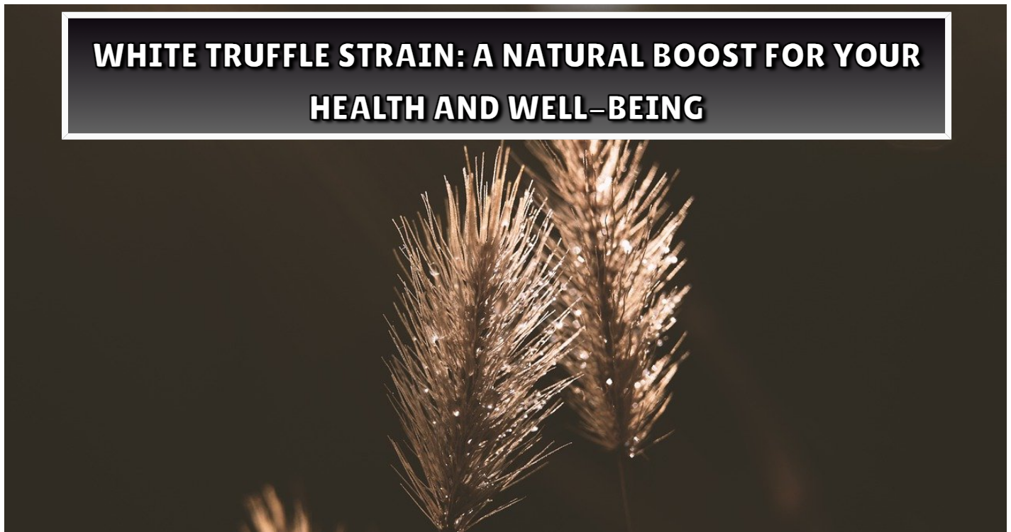 White Truffle Strain: A Natural Boost for Your Health and Well-Being