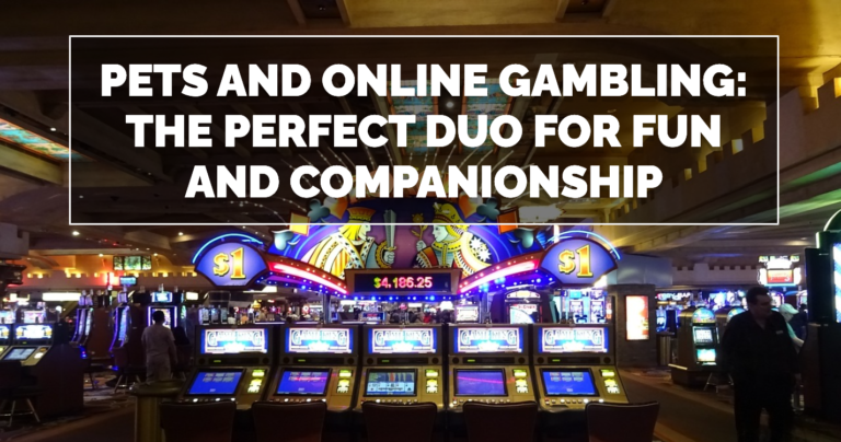 Pets and Online Gambling
