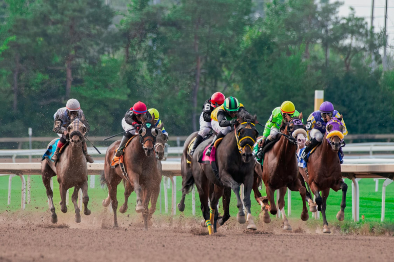 Breeders' Cup 2024: Key Factors That Influence Betting Success