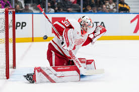 Red Wings’ Michal Postava to get first NHL start Monday against Edmonton
